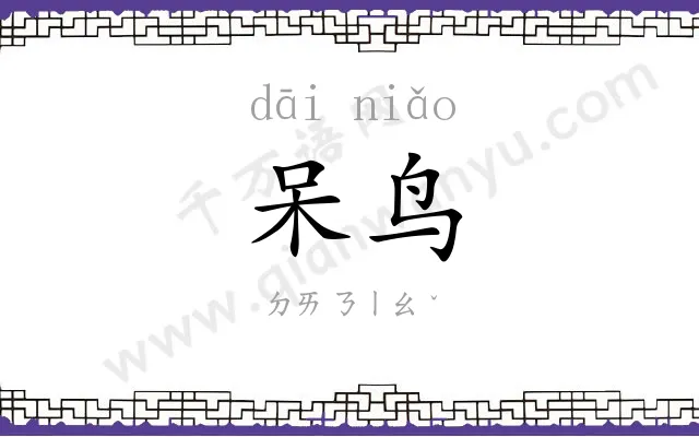 呆鸟