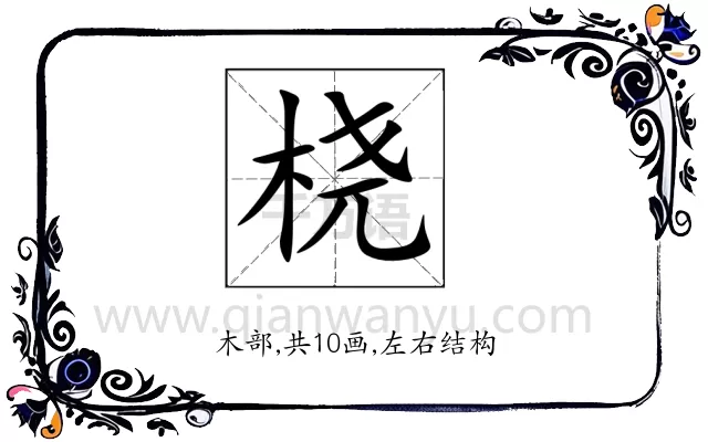 桡