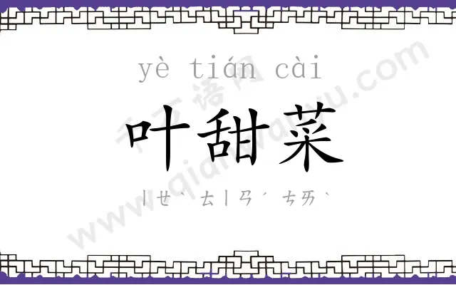 叶甜菜