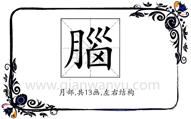 腦