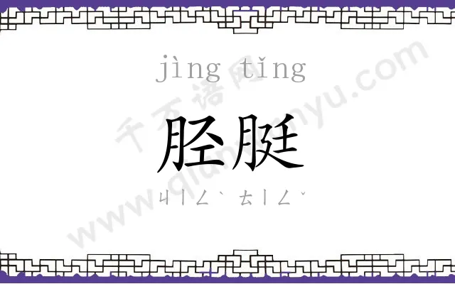 胫脡