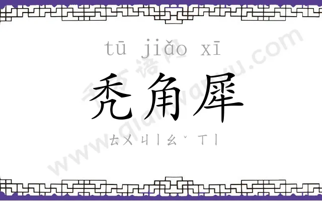 秃角犀