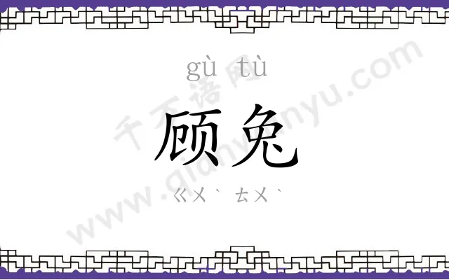 顾兔