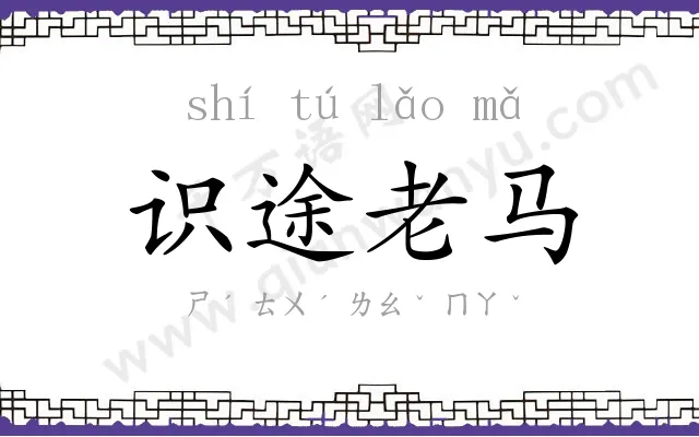 识途老马