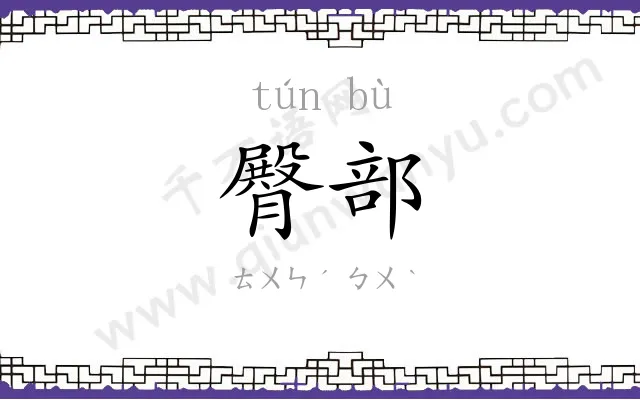 臀部