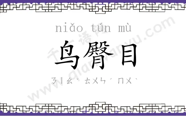 鸟臀目