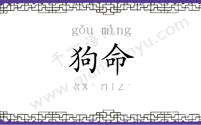 狗命