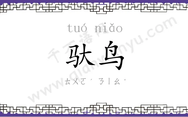 驮鸟
