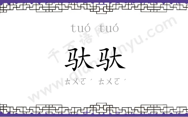 驮驮