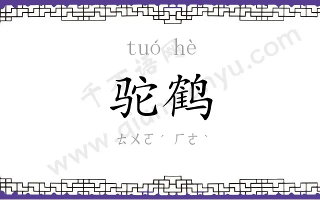 驼鹤