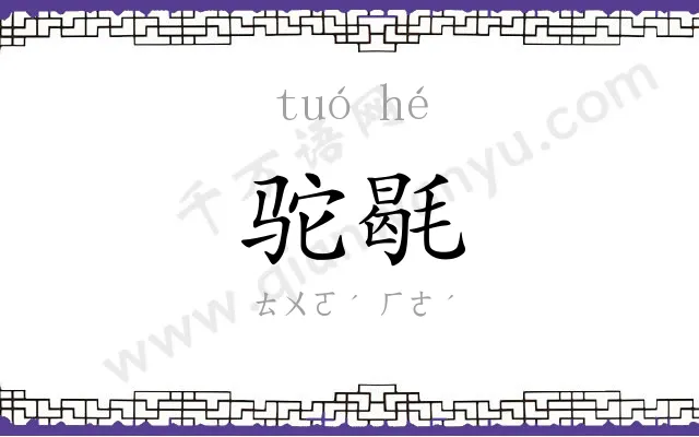 驼毼