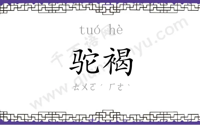 驼褐