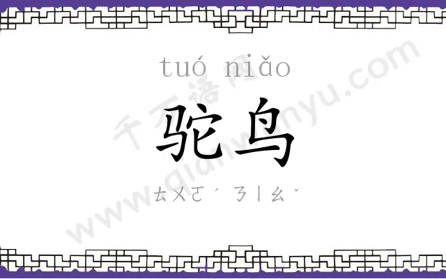 驼鸟