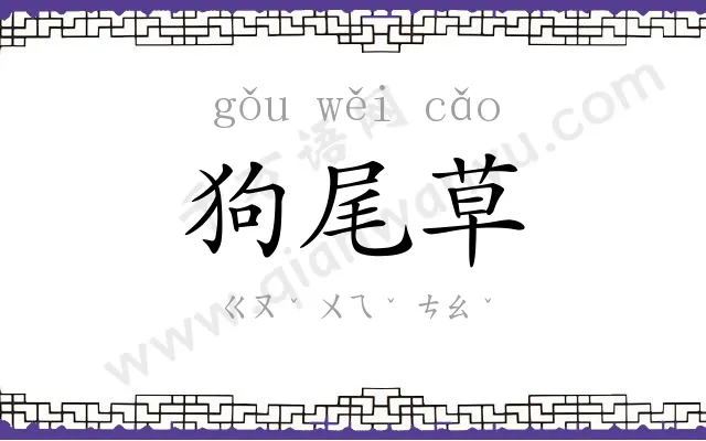 狗尾草