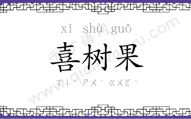 喜树果