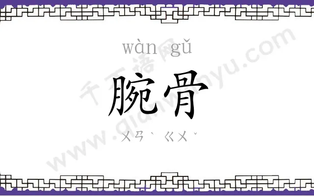 腕骨