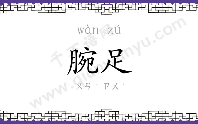 腕足