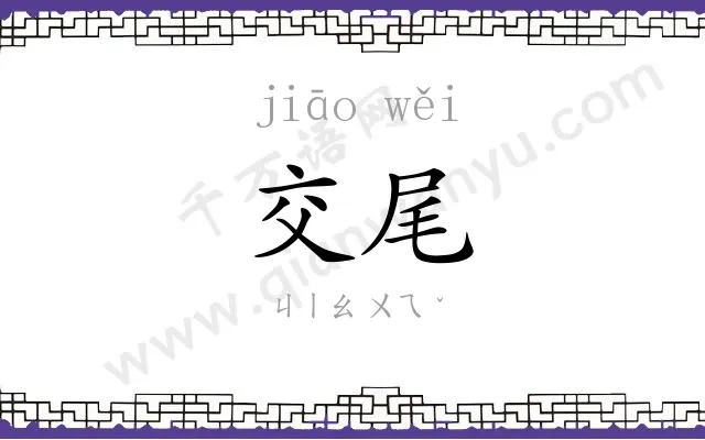 交尾
