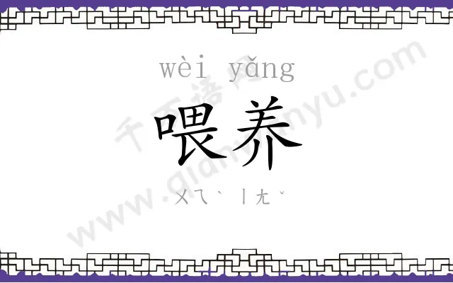 喂养