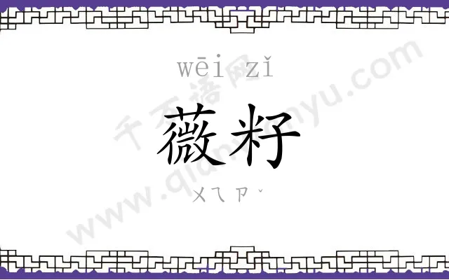 薇籽