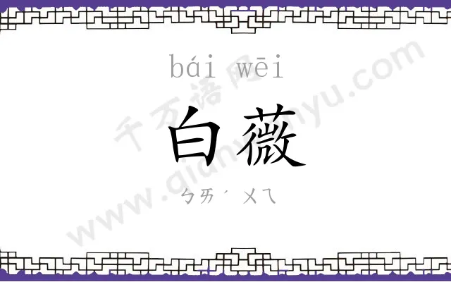 白薇