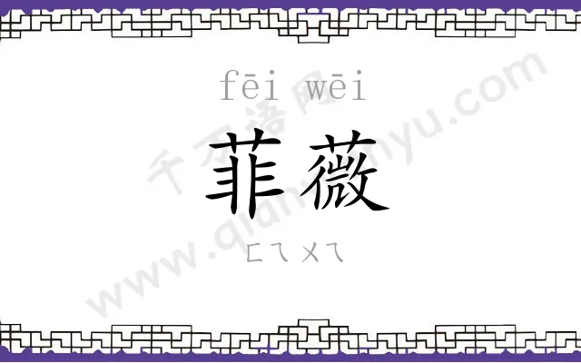 菲薇