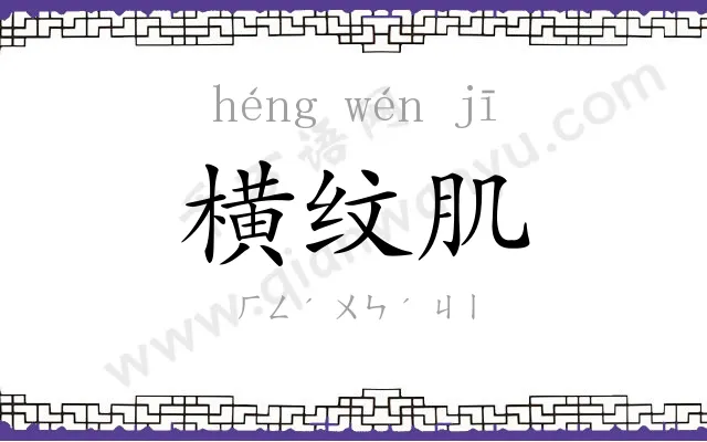 横纹肌