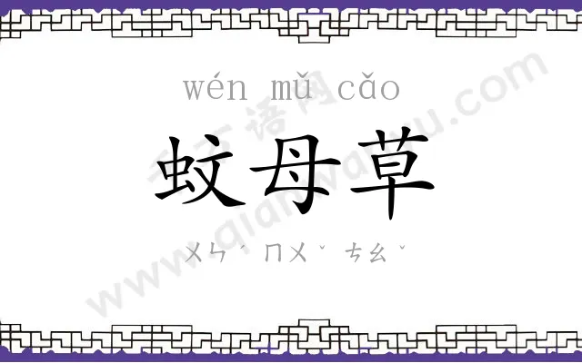 蚊母草
