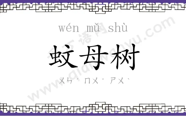 蚊母树