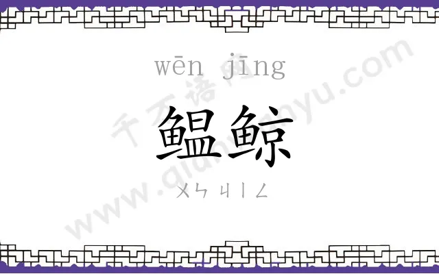 鳁鲸