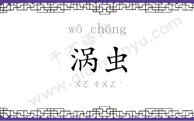涡虫