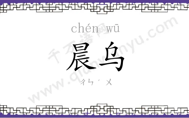 晨乌