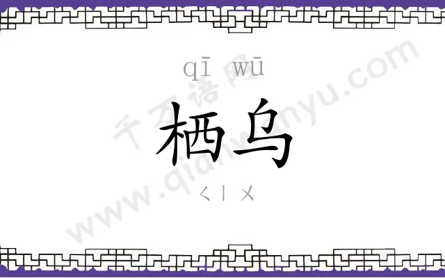 栖乌