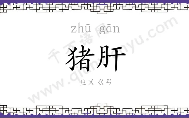 猪肝