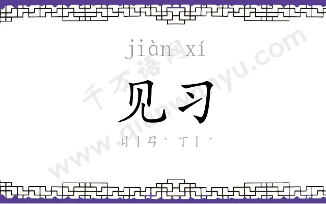 见习