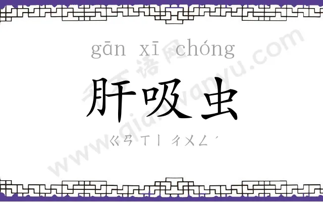 肝吸虫
