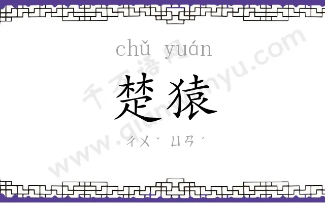 楚猿