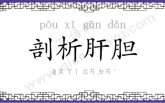 剖析肝胆