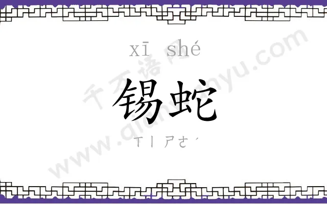 锡蛇