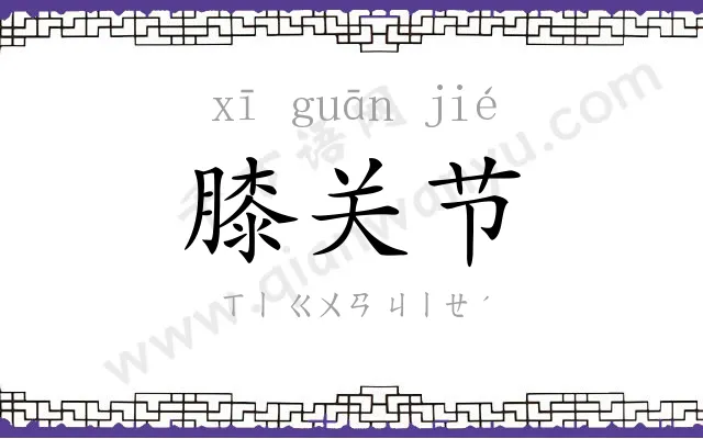 膝关节