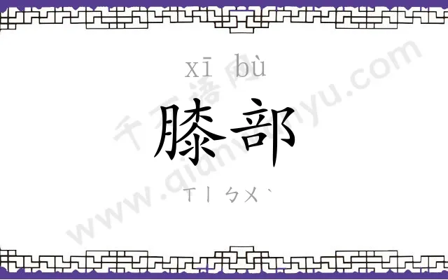 膝部