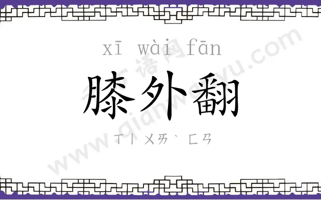 膝外翻