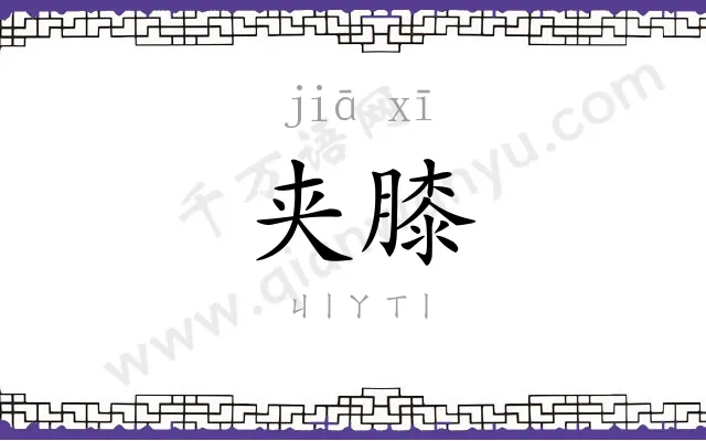 夹膝