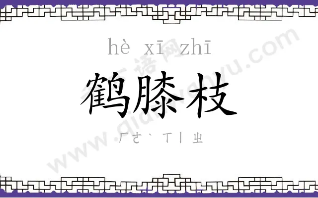 鹤膝枝