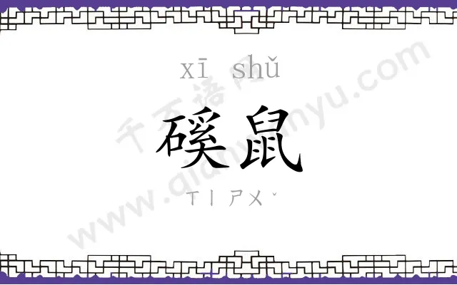 磎鼠