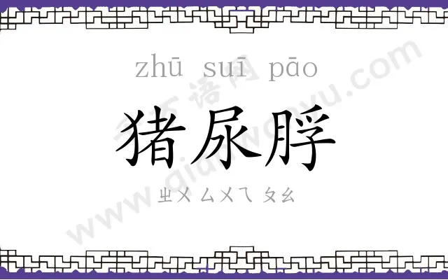 猪尿脬
