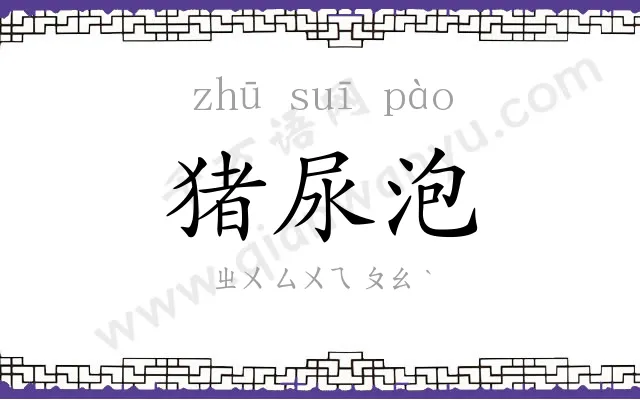 猪尿泡