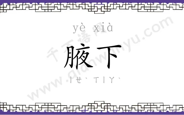 腋下