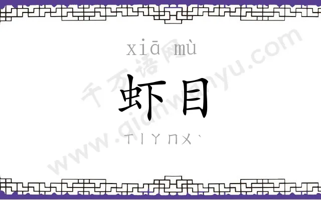 虾目