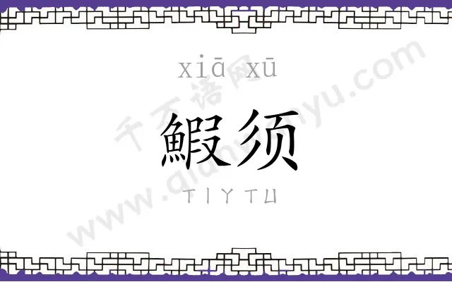 鰕须